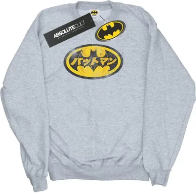 Produktbild von DC Comics - Sweatshirt für Herren BI11721 (3XL) (Grau)