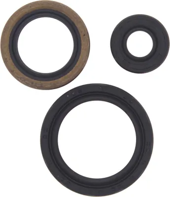 Obrázek produktu pro Sada motorových těsnění WINDEROSA W822143