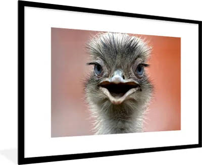 Produktbild von MuchoWow® MuchoWow® Gerahmtes Poster Nahaufnahme Strauß 90x60 cm - Poster mit zchwarzem Bilderrahmen - Wanddekoration - Fotos