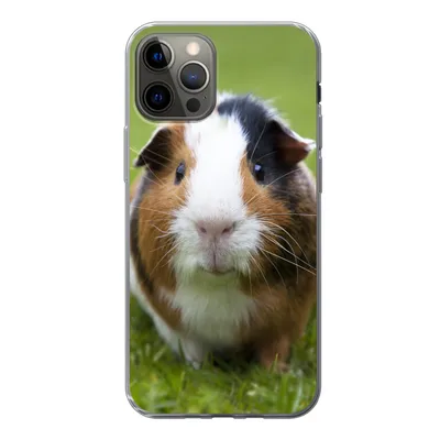 Produktbild von MuchoWow® Handyhülle Schutzhülle Hülle für iPhone 13 Pro Zwei Meerschweinchen Silikon Softcase Handy Hülle - Handy-Tasche