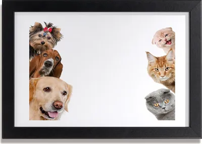 Produktbild von Bild 30x20 MDF-Rahmen, Wandkunst Hunde und Katzen