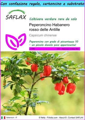 Immagine prodotto di SAFLAX Set regalo - Peperoncino Habanero rosso delle Antille - 10 semi - Capsicum