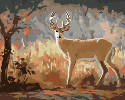 Produktbild von Zuty - Malen nach Zahlen - JUNGER HIRSCH UND HERBSTWALD (D. RUSTY RUST), 40x50 cm, mit Keilrahmen (bereits gespannt)