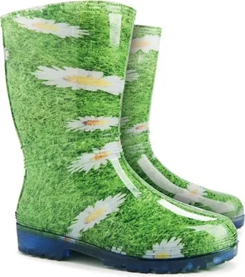 Obrázek produktu pro Holínky gumáky Demar Rainny print A kopretiny 38/39