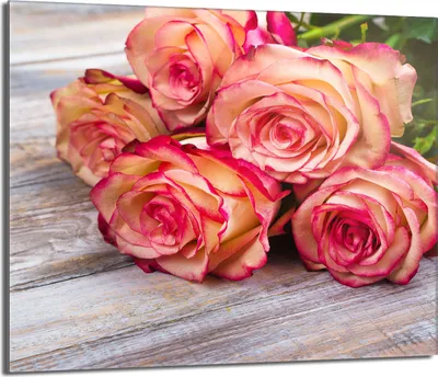 Produktbild von Glasschutzplatte für den Herd 60x52 Rose
