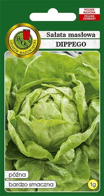 Produktbild von PNOS Gemüsesamen Dippe's Kohlsalat, Packung 1g