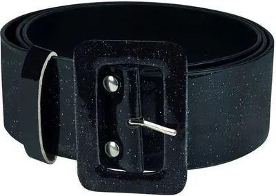 Produktbild von B005670-2 schwarz Gürtel Patrygürtel Discogürtel