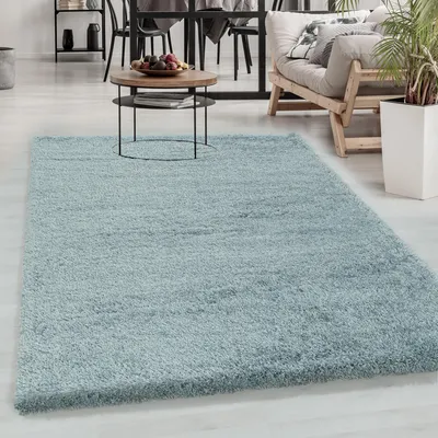 A light blue shaggy rug is laid out on a light-colored floor in a living room setting. A coffee table with fruit and magazines sits on the rug, and a sofa and plant are visible in the background.