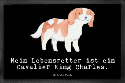 Produktbild von Mr. & Mrs. Panda fußmatte Cavalier King Charles Spaniel Lebensretter 40 x 60 cm - Schwarz - Geschenk, Schmutzfangmatte, Schmutzmatte, Sauberlaufmatte, Türmatte