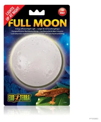 Image de Hagen EX Clair de lune ; PT2360