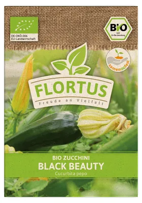 Produktbild von Zucchini Black Beauty |  Zucchinisamen von FLORTUS