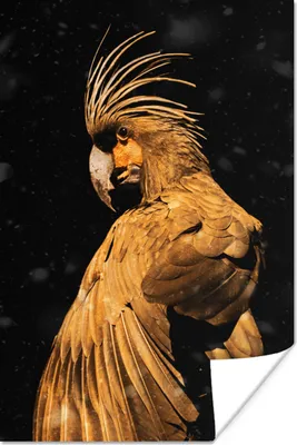 Produktbild von MuchoWow® Poster Kakadu - Vögel - Gold 40x60 cm - Plakate für die Wand - Poster Babyzimmer