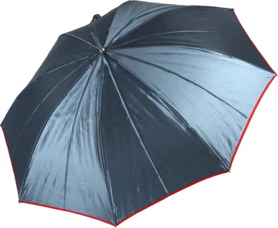 Produktbild von Stockschirm Damen Satin Automatik grau