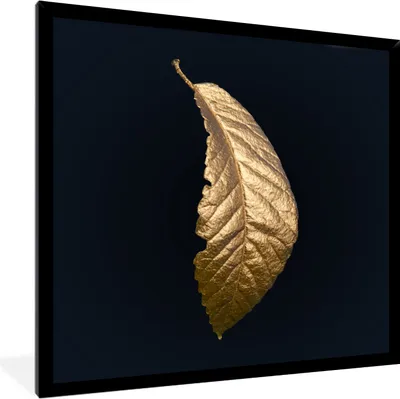Produktbild von MuchoWow® MuchoWow® Gerahmtes Poster Blätter - Luxus - Gold - Schwarz - Natur 40x40 cm - Poster mit zchwarzem Bilderrahmen - Mit Rahmen - Wanddekoration Schlafzimmer