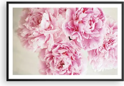 Produktbild von Gerahmtes Poster - Schwarzer Rahmen - Pfingstrosen Blumenstrauß Blumen - 91,5x61 cm - Wand Bild - Wanddeko - Wandbilder - Kunstposter - Wandposter - Bilderrahmen - Bilder - Kunstdruck P2BAA91x61-4961