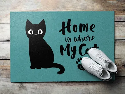 Produktbild von Fußmatte Aussen - Schuhmatte Haustür- Schmutzfangmatte Türvorleger - Outdoor Teppich Schmutzfänger - 60x40 cm - Katze zu Hause