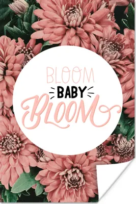 Produktbild von MuchoWow® Poster Zitate - 'Bloom baby bloom' - Sprichwörter 40x60 cm - Plakate für die Wand - Poster Babyzimmer
