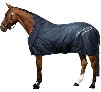 Image de Imperial Riding Outdoordecke 100g IRHSuper-Dry Navy 175 (125 cm)