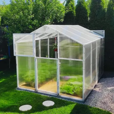 Immagine prodotto di Serra con base resistente alle intemperie Stabile 210x271 cm con 5 confezioni di semi