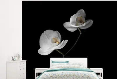 Produktbild von MuchoWow® Fototapete für Wohnzimmer oder Schlafzimmer Wandtapete Vinyl Motivtapete Orchidee - Blumen - Schwarz - Weiß - Stilleben - 375x300 cm - Tapezierpapier