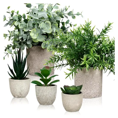 Produktbild von 5 Stück Künstliche Pflanzen, Kleine Kunstpflanze mit Topf, Eukalyptus, Sukkulenten und Rosmarin für Innenräume