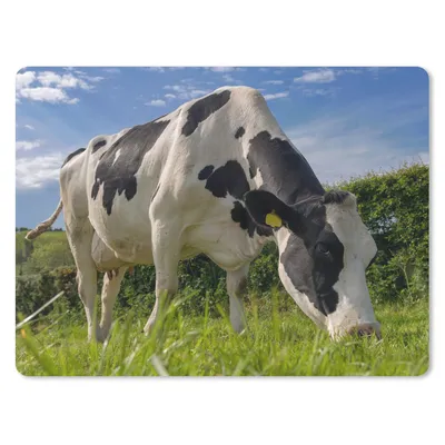 Produktbild von MuchoWow® Mauspad Mousepad Kuh - Wald - Gras - Tiere 40x30 cm - Mousepads - Maus Mat - Pad - Mausunterlage - Anti Rutsch