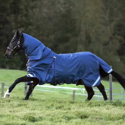 Image de Horseware Rambo Optimo Turnout Heavy 0g + 400g Liner + 150g Halteil - Navy/Burgundy
