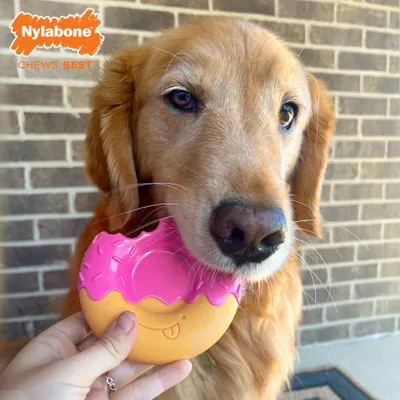 Produktbild von Hundespielzeug Nylabone Rosa Bacon L