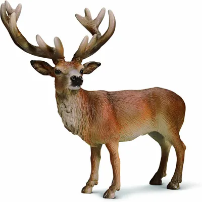 Image de SCHLEICH 14248 Cerf élaphe