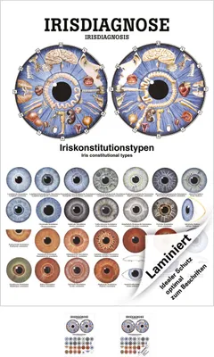 Produktbild von Irisdiagnose Mini-Poster Anatomie 34x24 cm medizinische Lehrmittel