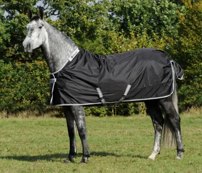 Produktbild von Bucas Smartex Rain- Regendecke 105 Blau