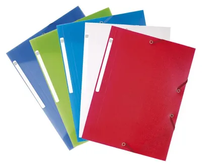 Productafbeelding van Exacompta 55879E, 10-delig pakket insteekmappen Chromaline. Gemaakt van transparant kunststof, formaat DIN A4, met 2 elastieken en 3 kleppen, in verschillende kleuren. Ideaal als verzamelmap of documentenmap, geschikt voor zowel kantoor als school
