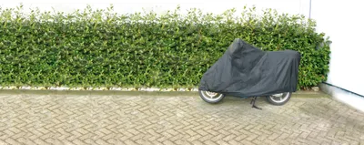 Zdjęcie produktu dla Carpoint Scooterhoes M 203 x 89 x 120 cm