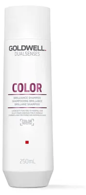 Immagine prodotto di Goldwell Shampoo Dualsenses Colour Brilliance Shampoo