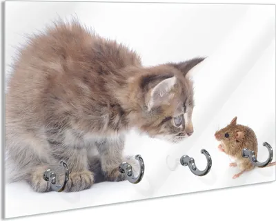 Produktbild von Wallario Schlüsselbrett aus Glas, Motiv: Katze und Maus beim Spielen - weißer Hintergrund, 30 x 20 cm mit 4 Haken
