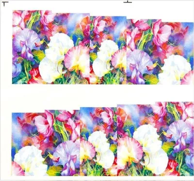 Obrázok produktu pre Vodou riediteľná nálepka na nechty 7 x 6,5 cm na 10 prstov c č. 260
