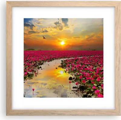 Produktbild von Gerahmtes Poster - Rahmen in heller Eiche - See Blumen - 30x30 cm - Wand Bild - Wanddeko - Wandbilder - Kunstposter - Wandposter - Bilderrahmen - Bilder - Kunstdruck - Wandbild - P2NAC30x30-3769