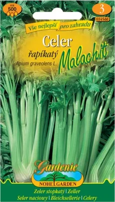 Image de Céleri MALACHIT, vert