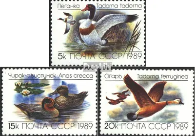 Produktbild von Briefmarken Sowjetunion 1989 Mi 5965-5967 (kompl.Ausg.) postfrisch Enten und Gänse