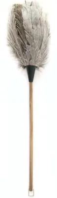 Immagine prodotto di Scopa per tulipani As 110