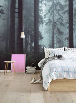 Produktbild von Coloray Fototapete 416x254 cm An Einer Wand Latex Latextapete - Nebliger Wald