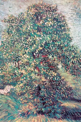 Obrázok produktu pre Vincent Van Gogh Art Print Obraz - Kvitnúci gaštan I, 1887 (120 x 80 cm)