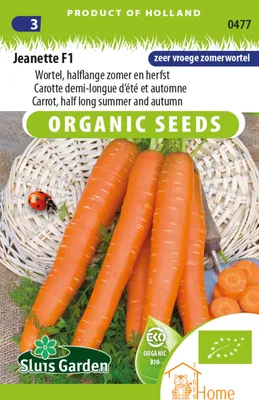 Immagine prodotto di Jeanette F1 Confezione di semi di carota – Carote estive e autunnali mediamente dolci – Semi ibridi di alta qualità per un raccolto abbondante