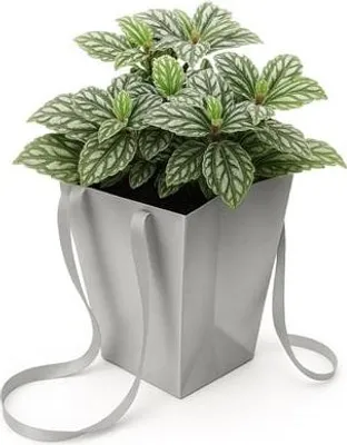Zdjęcie produktu dla Torba Prestige Srebrna 125x125x180/165x165mm na kwiaty doniczkowe