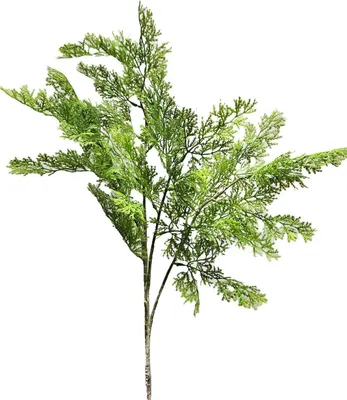 Produktbild von artplants.de Künstlicher Zweig Thuja BIRLAF, grün-gelb, 85cm - Deko Thujazweig