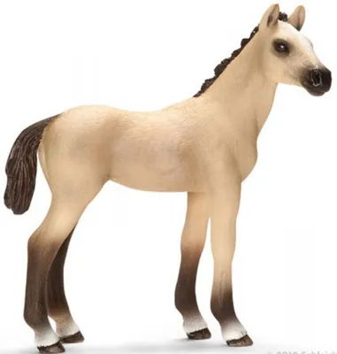Produktbild von schleich Achal Tekkiner Fohlen, 3 Jahr(e), Beige, Kunststoff