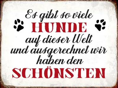 Produktbild von vianmo Holzschild 30x40 cm es gibt so viele Hunde