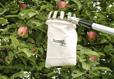 Produktbild von Obstpflücker 175-300 x 13 cm inkl. Teleskopstiel