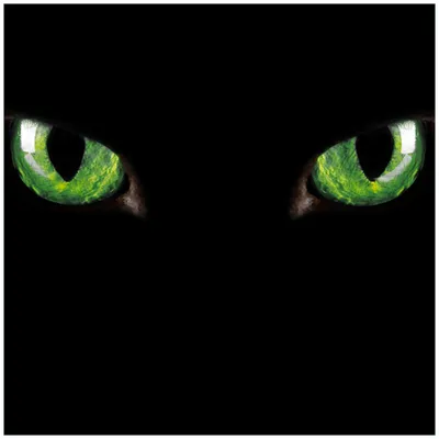 Produktbild von Wallario Sticker / Aufkleber für Kühlschrank / Geschirrspüler / Küchenschränke, selbstklebende Folie - 60 x 60 cm, Motiv: Grüne Katzenaugen bei Nacht