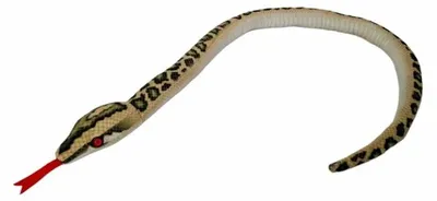 Image de Serpent - SUÉDOIS